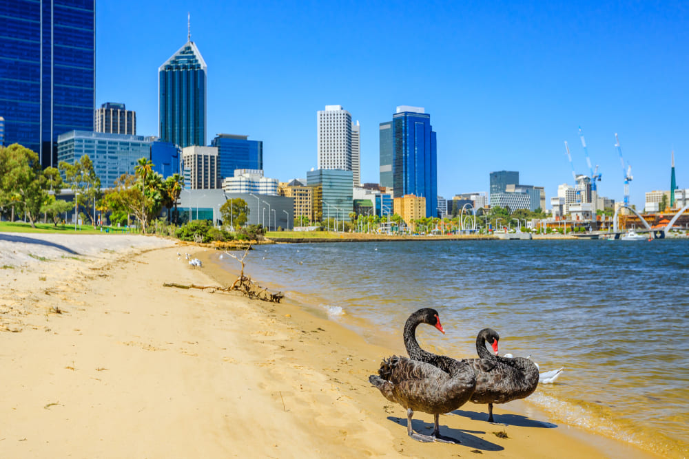 swan-river-perth-wa